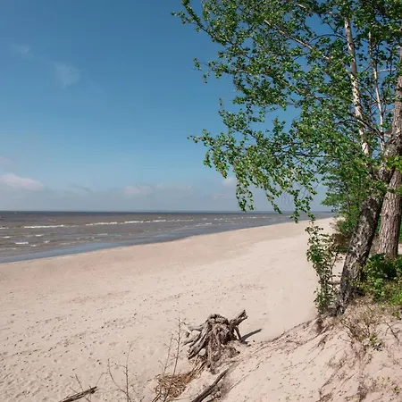 Отель Andropoff